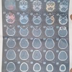 421050114_122121216686147223_1058082912328111671_n