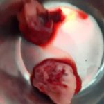 42d8ef0f-e73a-4cea-9981-e6ad4aaffd39