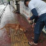 434364780_122137785062147223_7839192809245932151_n