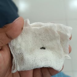 456149922_122171766290147223_1072636042690088204_n